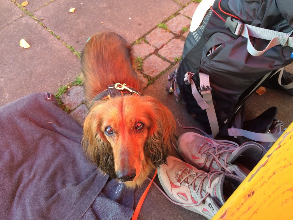 Jakobsweg Etappe Rheinbach Bad Münstereifel Renate Döring